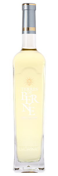 Côtes de Provence Terres de Berne 2022