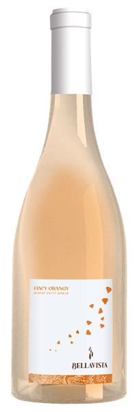 Fancy Orangy 2022