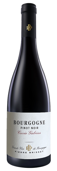 Bourgogne Pinot Noir Cuvée Gabrius 2022