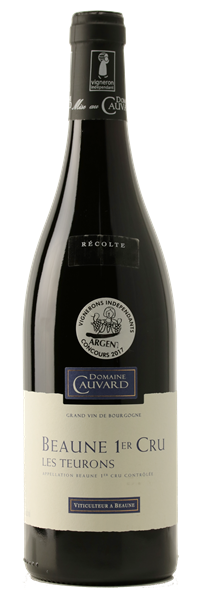 Beaune 1er Cru les Teurons 2022