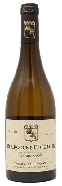 Bourgogne Côte-d'Or Chardonnay 2023