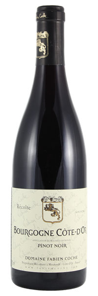 Bourgogne Côte-d'Or Pinot Noir 2022