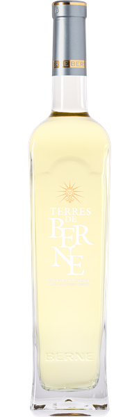Côtes de Provence Terres de Berne 2019
