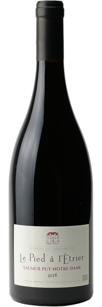Saumur Puy-Notre-Dame Pied à l'Etrier 2016