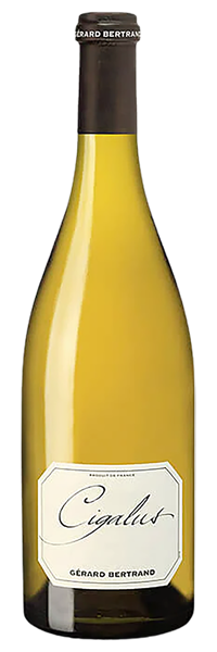 Aude Hauterive Cigalus 2024