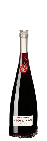 Pays d'Oc Cote des Roses Pinot Noir Demi-Bouteille 2022