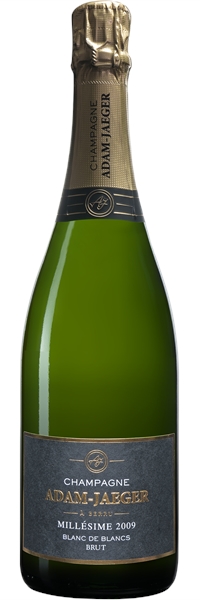 Champagne Blanc de Blancs Millésimé Brut 2009