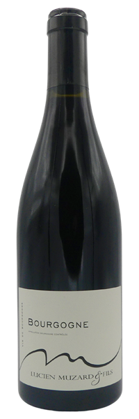 Bourgogne Pinot Noir 2023