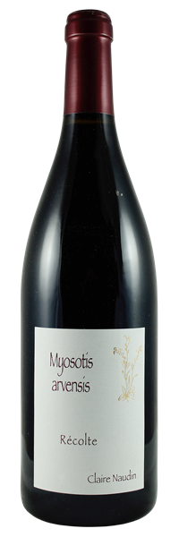 Bourgogne Hautes Côtes de Nuits Myosotis Arvensis 2018