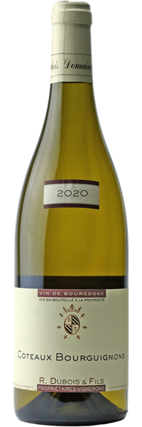 Côteaux Bourguignons Chardonnay 2020