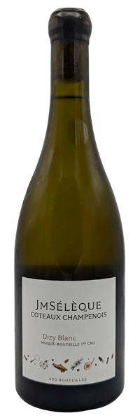 Coteaux Champenois Premier Cru Dizy 2021