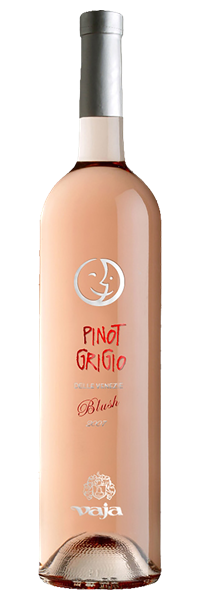 Venezia Pinot Grigio Blush 2022