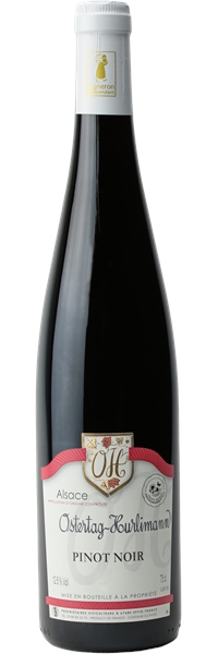 Alsace Pinot noir 2019