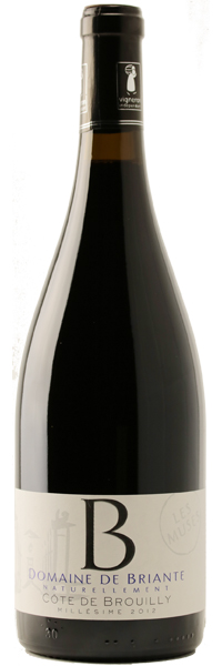 Côte de Brouilly Les Muses 2012