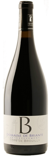 Côte de Brouilly Les Muses 2014