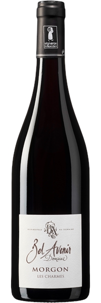 Morgon Les Charmes 2018