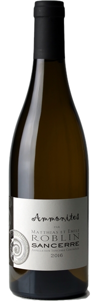 Sancerre Ammonites 2016