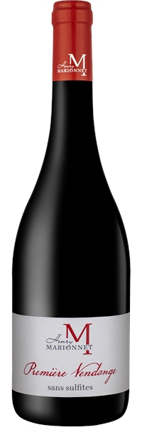 Touraine Première Vendange 2019