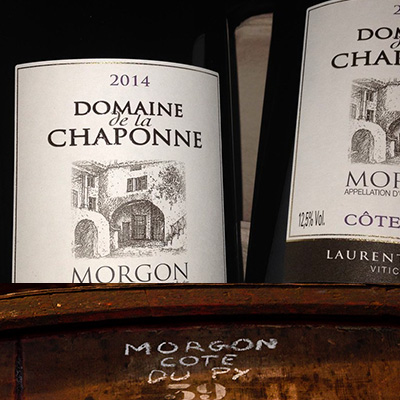 Domaine de la Chaponne - Laurent Guillet