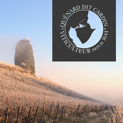 Domaine Jean-François Quénard